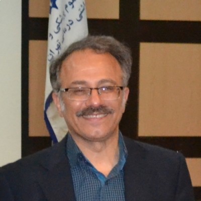 مجید رضائی راد